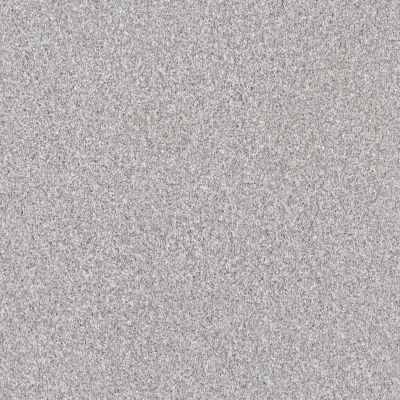Shaw Floors Pet Perfect Grandiose Net Silver Lining 00105_5E501
