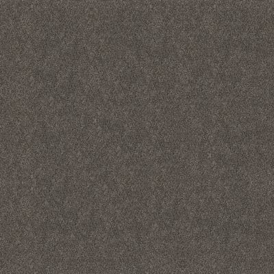 Shaw Floors Simply The Best Boundless II Net Shadow 00703_5E504