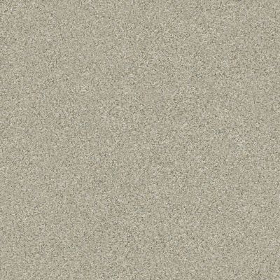 Shaw Floors Simply The Best Boundless Iv Net Creamery 00130_5E506