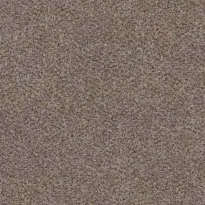 Shaw Floors Simply The Best Without Limits II Net Saddle Tan 00700_5E508