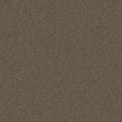 Shaw Floors Simply The Best Without Limits II Net Bountiful 00701_5E508