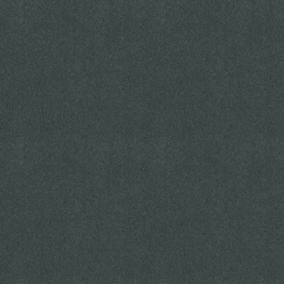 Shaw Floors Value Collections Sandy Hollow Cl III Net Cadet 00401_5E511