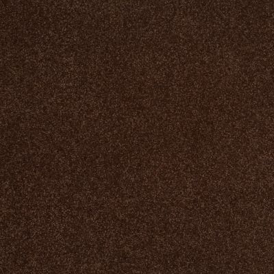 Shaw Floors Value Collections Sandy Hollow Cl III Net Coffee Bean 00711_5E511