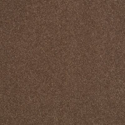 Shaw Floors Value Collections Sandy Hollow Cl III Net Wooden Box 00721_5E511