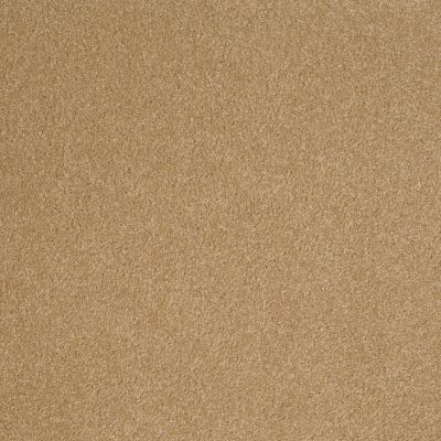 Shaw Floors Value Collections Sandy Hollow Cl III Net Cork 00722_5E511