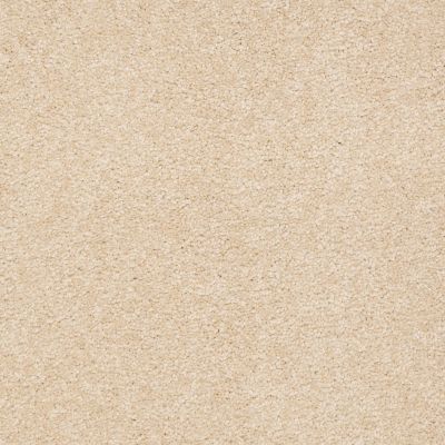 Shaw Floors Value Collections Sandy Hollow Cl Iv Net Marzipan 00201_5E512