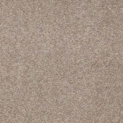 Shaw Floors Value Collections Sandy Hollow Cl Iv Net Chinchilla 00306_5E512