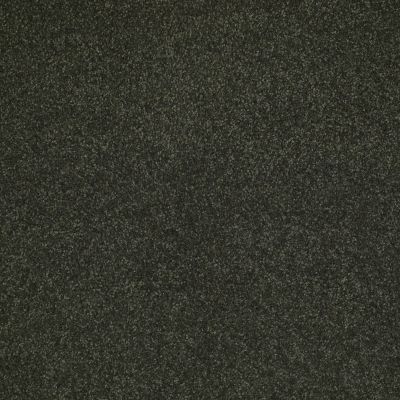 Shaw Floors Value Collections Sandy Hollow Cl Iv Net Lilly Pad 00320_5E512