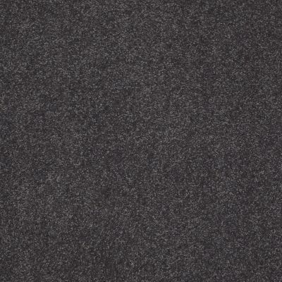 Shaw Floors Value Collections Sandy Hollow Cl Iv Net Dutch Boy 00422_5E512