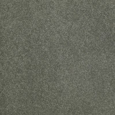 Shaw Floors Value Collections Sandy Hollow Cl Iv Net Bahama Bay 00424_5E512
