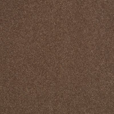 Shaw Floors Value Collections Sandy Hollow Cl Iv Net Wooden Box 00721_5E512