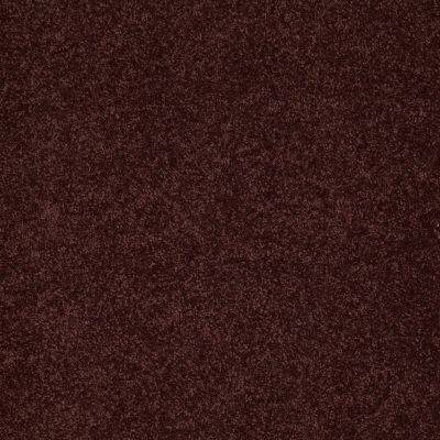 Shaw Floors Value Collections Sandy Hollow Cl Iv Net Rouge Red 00820_5E512