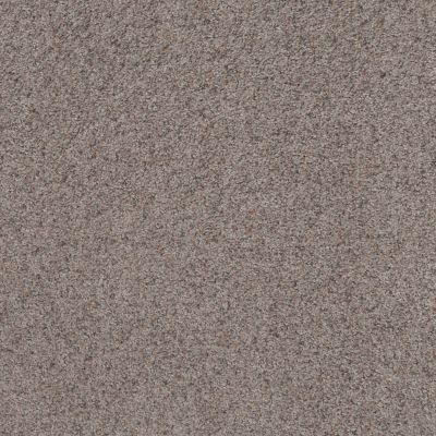 Shaw Floors Value Collections Replenished Net Pewter Taupe 00501_5E513