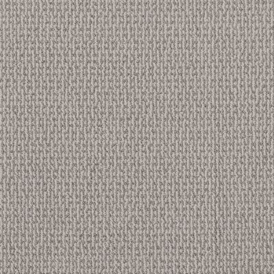 Shaw Floors Value Collections Crafted Embrace Net Split Sediment 00104_5E515