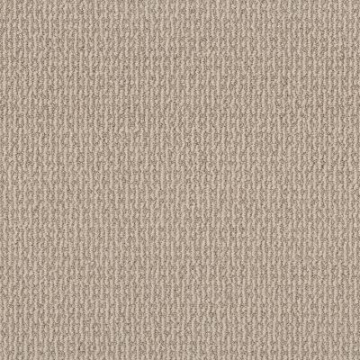 Shaw Floors Pet Perfect Plus Crafted Embrace Net Sun Kissed 00107_5E515