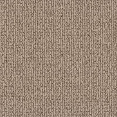 Shaw Floors Pet Perfect Plus Crafted Embrace Net Beige Bisque 00110_5E515