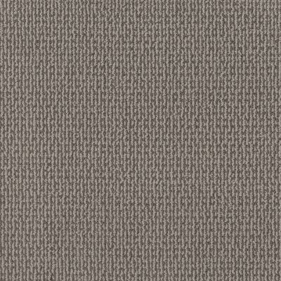 Shaw Floors Pet Perfect Plus Crafted Embrace Net Stormy Breeze 00505_5E515
