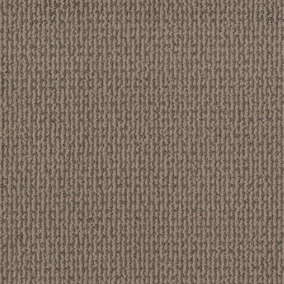 Shaw Floors Pet Perfect Plus Crafted Embrace Net Raw Wood 00700_5E515