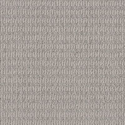 Shaw Floors Value Collections Chic Elevation Net Sentimental 00101_5E516