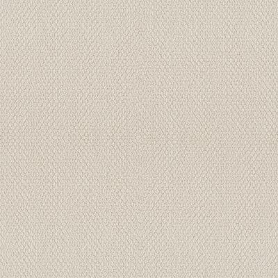 Shaw Floors Value Collections Channeling Net Canvas 00103_5E517