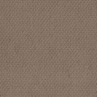 Shaw Floors Value Collections Channeling Net Worn Leather 00702_5E517