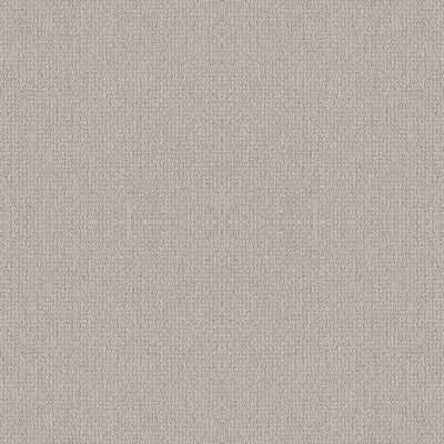 Shaw Floors Value Collections Embellished Net Aircraft 00111_5E518