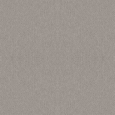 Shaw Floors Value Collections Embellished Net Ashen 00114_5E518