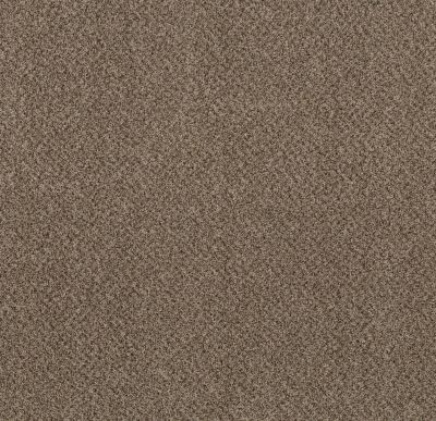 Shaw Floors Mix’d Essentials Raw Wood(b) 00711_5E519