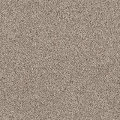 Shaw Floors Basic Mix Sandstone 0100T_5E527