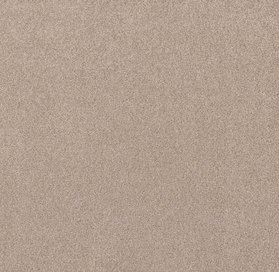 Shaw Floors Live On Comfort Palm Desert 00741_5E546