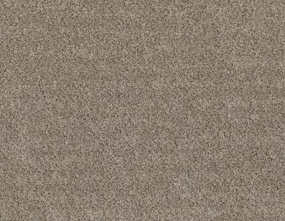 Shaw Floors Value Collections Basic Mix Wt Baltic Stone 0102T_5E547