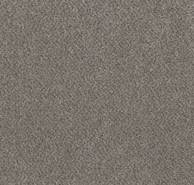 Shaw Floors Value Collections Basic Mix Wt Metro Gray 0506A_5E547
