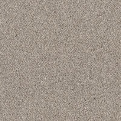 Shaw Floors Value Collections Mix’d Essentials Wt Sandstone(t) 00100_5E548