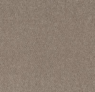 Shaw Floors Value Collections Mix’d Essentials Wt Baltic Stone(t) 00102_5E548