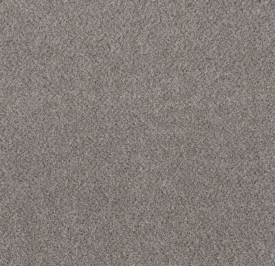 Shaw Floors Value Collections Mix’d Essentials Wt Silver Quartz(t) 00504_5E548