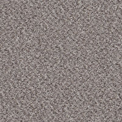 Shaw Floors Value Collections Mix’d Essentials Wt Soft Pewter(a) 00505_5E548