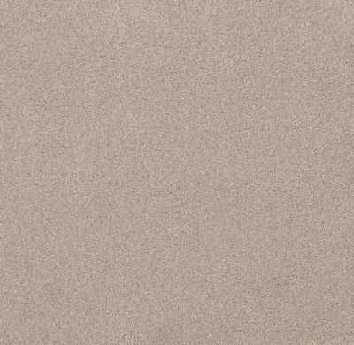 Shaw Floors Value Collections Live On Comfort Net Natural Blonde 00143_5E551
