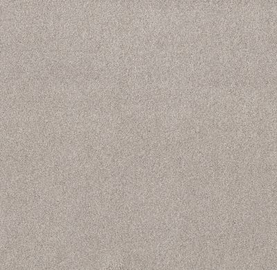 Shaw Floors Value Collections Live On Comfort Net Brushed Aluminum 00148_5E551