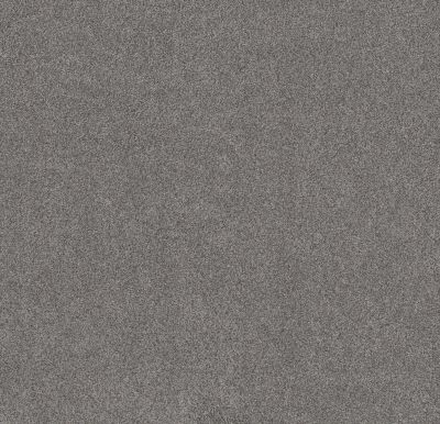 Shaw Floors Value Collections Live On Comfort Net Metro Gray 00540_5E551
