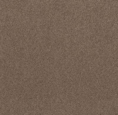 Shaw Floors Value Collections Live On Comfort Net Classic Caramel 00740_5E551
