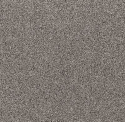 Shaw Floors Value Collections Live On Comfort Net Century Taupe 00744_5E551