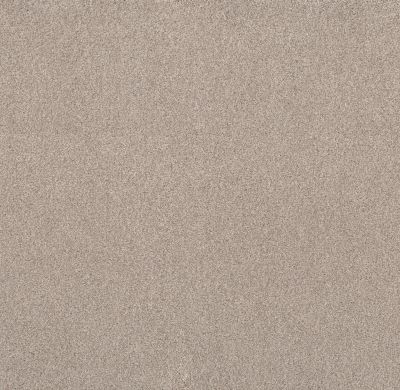 Shaw Floors Value Collections Live On Comfort Net Warm Sand 00763_5E551