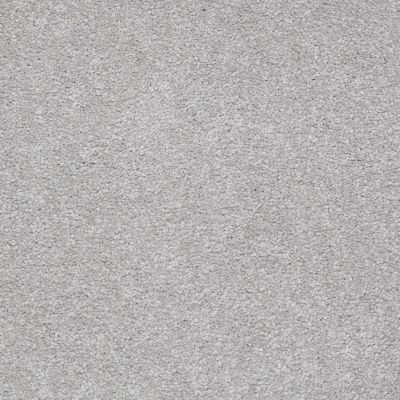 Shaw Floors Value Collections Sandy Hollow Classic III 15 Ne Silver Charm 00500_5E555