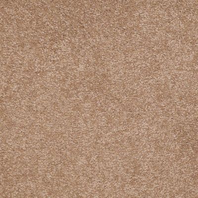 Shaw Floors Value Collections Sandy Hollow Classic III 15 Ne Muffin 00700_5E555
