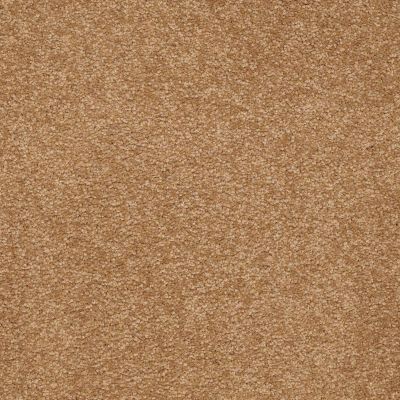 Shaw Floors Value Collections Sandy Hollow Classic III 15 Ne Peanut Brittle 00702_5E555