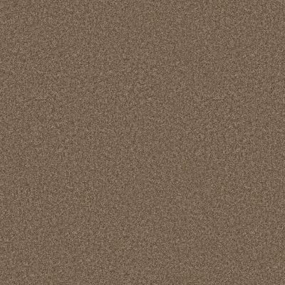 Shaw Floors Pet Perfect You Got This I Mission Ridge 00705_5E560
