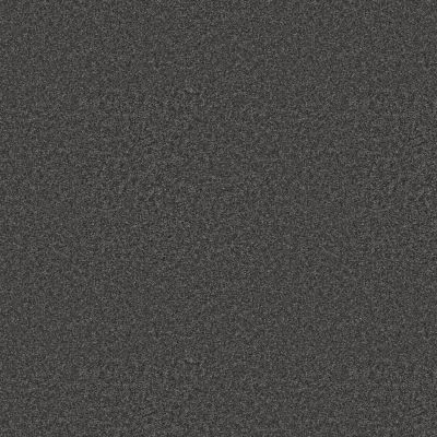 Shaw Floors Pet Perfect You Got This III Shadow 00502_5E562