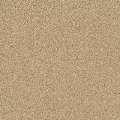 Shaw Floors Pet Perfect Posh Life Honeycomb 00207_5E566