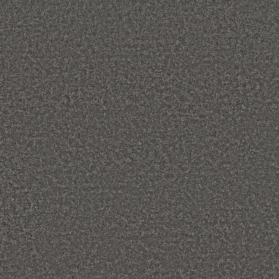 Shaw Floors Pet Perfect Posh Life Shadow 00502_5E566