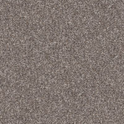Shaw Floors Pet Perfect Yes You Can I 12′ Alaskan Air 00500_5E568